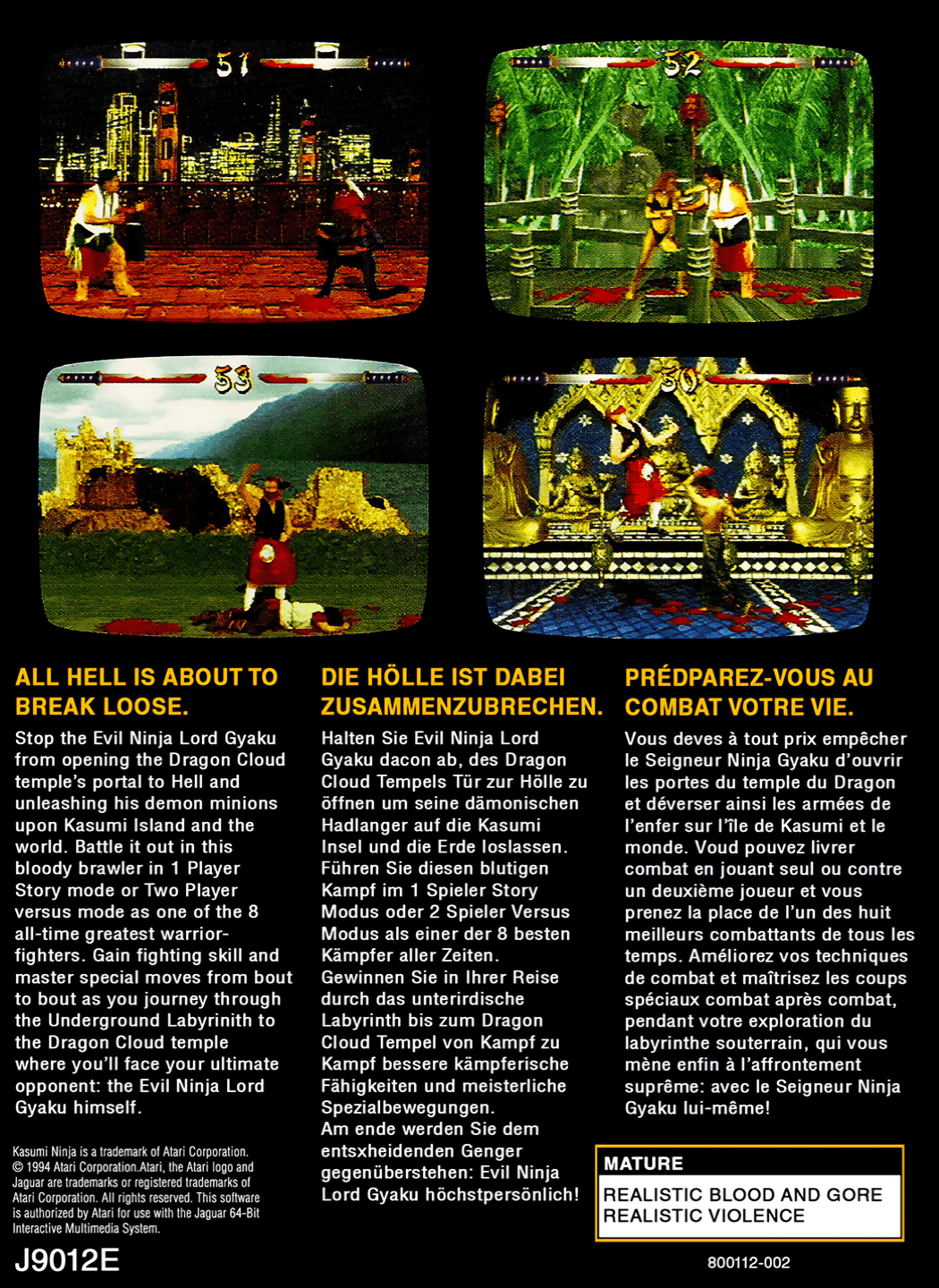 Kasumi Ninja (World).png